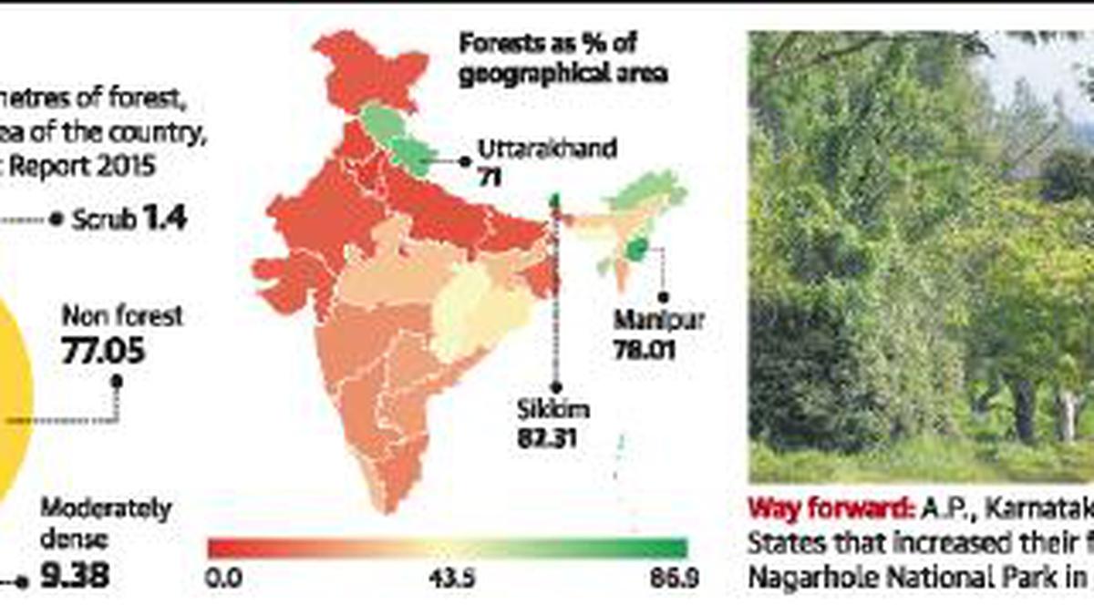 India records marginal increase in forest cover The Hindu